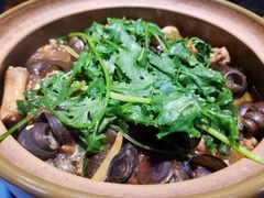 田螺鸡煲-食爺炭炉鸡煲·烧烤