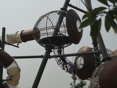 -枫香湖儿童公园