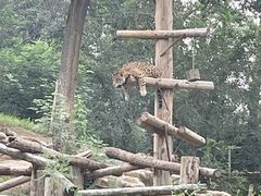 -北京野生动物园