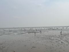 -碧海金沙
