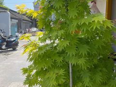 -About Bistro關於·泰式家庭料理
