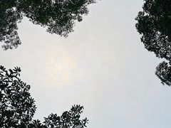 -海珠湖公园