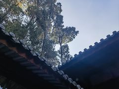 -寂照庵