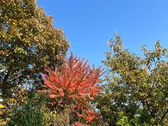 -北京西山国家森林公园