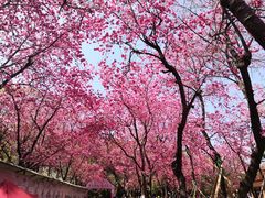 -昆明动物园