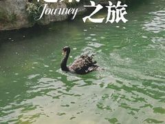 -抹直口特色菜馆(一店)