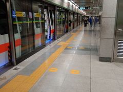 -竹子林(地铁站)