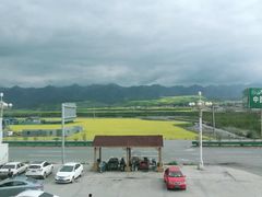 -阿法柯柴火鸡羊肉面片馆