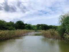 -上海吴淞炮台湾国家湿地公园