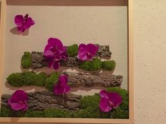 -鸽子窝(宋庄店)