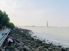 -吴淞炮台湾湿地森林公园烧烤区