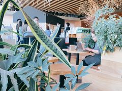 -Seesaw Coffee(朝阳大悦城店)