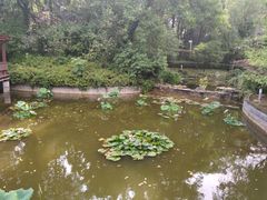 -南京国际会议大酒店