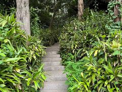 -扬州大运河文化旅游度假区·盆景园