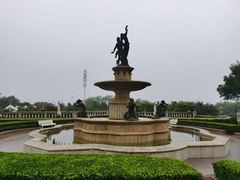 -青岛海景花园大酒店·白果树餐厅青岛菜