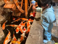 -大连圣亚海洋世界