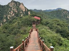 -大岭沟猕猴桃谷风景区