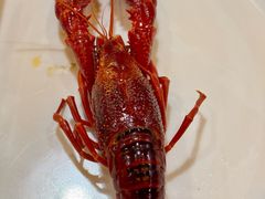 -小田油焖小龙虾(双井店)
