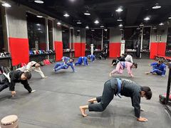-极斗-IKMF马伽术·格斗运动学院(东直门店)