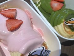 -狐狸和向日葵(北京路店)