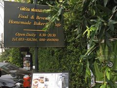 -Fern Forest Cafe