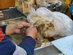 -叶氏麻糍(鼓浪屿店)