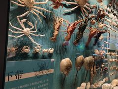 -深海中餐厅(国家海洋博物馆店)