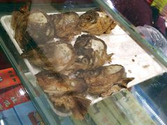 -叶受和(观前街店)