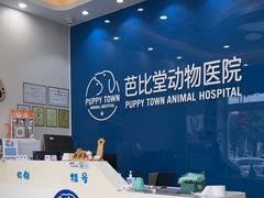 -芭比堂动物医院·CT·微创中心(新顺分院)