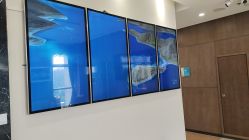 -北京米扬丽格医疗美容·联合丽格鼻整形中心