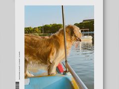 -八大山人梅湖景区