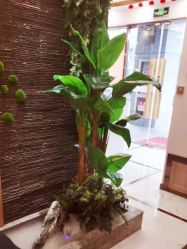 -芳朵美容养生SPA