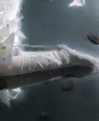 -WAVE SODA摄影工作室