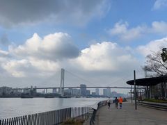 -上海滨江森林公园
