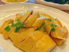 姜蓉白切清远果园鸡-正佳广场万豪酒店-粤菜餐厅·点心·海鲜·聚餐