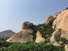 -洋山深水港