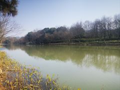 -西溪国家湿地公园