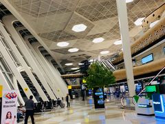 -盖达尔·阿利耶夫国际机场