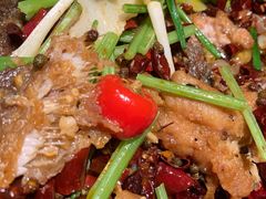 -老板恋上鱼(高新万达店)