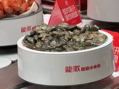 -龍歌自助小火锅(雨花台江南虹悦城店)