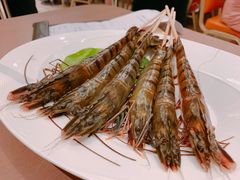 -協成海鮮火鍋(老店)