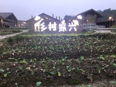 -黄龙溪欢乐田园