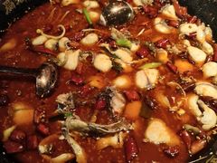 -蜀都丰 川菜·水煮活鱼(万象九宜城店)