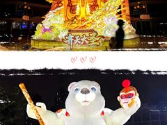 -海合安成都极地海洋公园