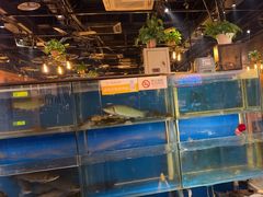 -小俩口烧烤东北菜(双井店)