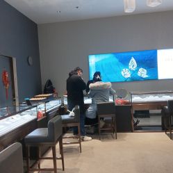-Cindy Jewelry·钻戒·彩色宝石