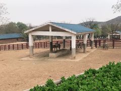 -石家庄市动物园