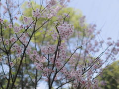 -求水山公园