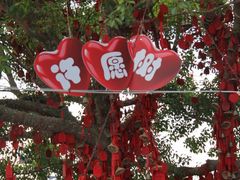 -温州乐园
