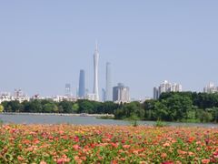 -海珠湖公园